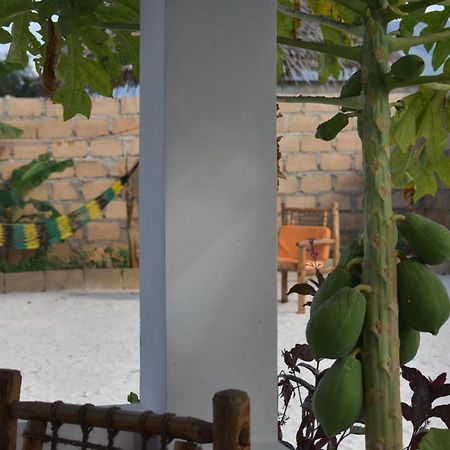New Arisen Bungalows Bwejuu Exteriör bild