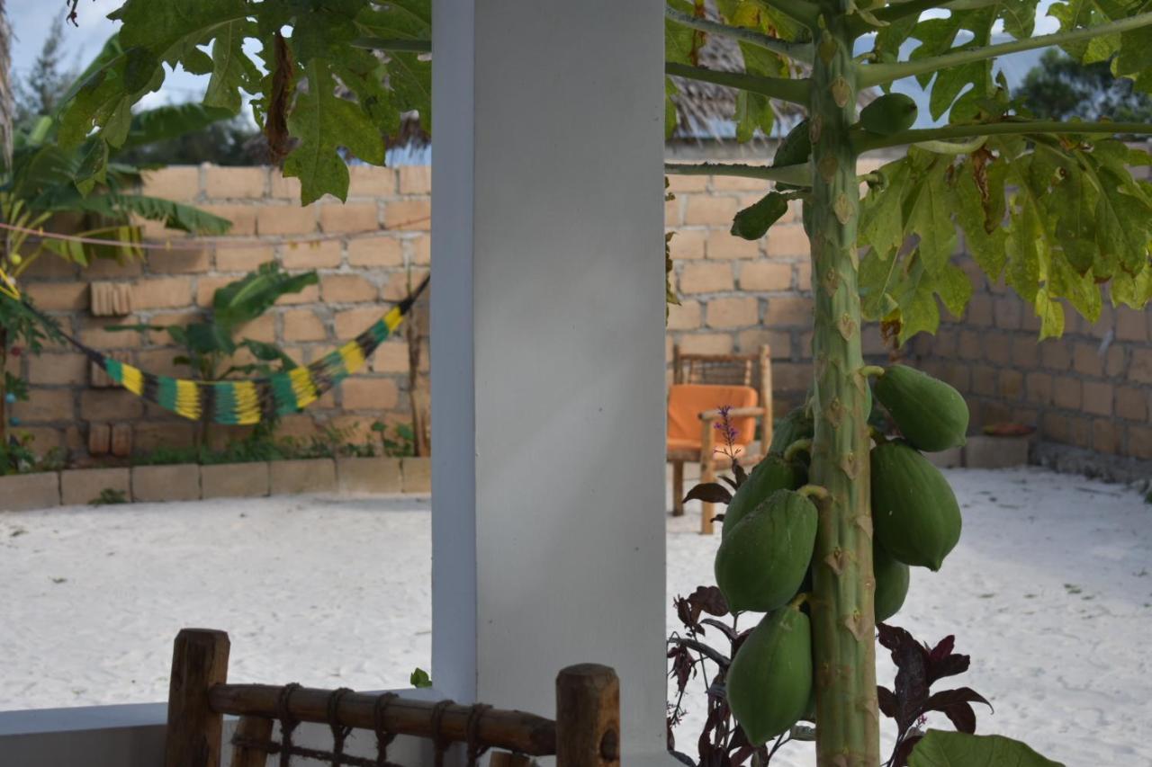 New Arisen Bungalows Bwejuu Exteriör bild
